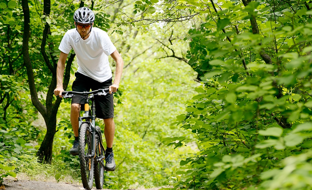 Rankipino | La pista ciclo-pedonale della Val di Non che collega il Passo Palade alla Val di Sole.