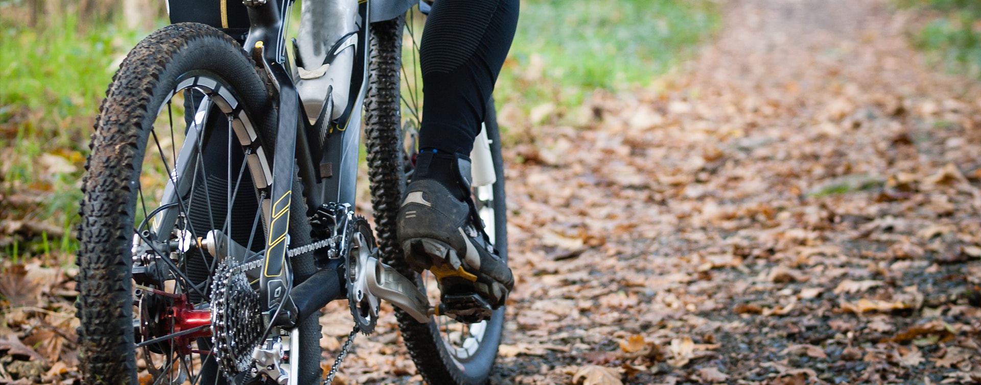 Rankipino | La pista ciclo-pedonale della Val di Non che collega il Passo Palade alla Val di Sole.