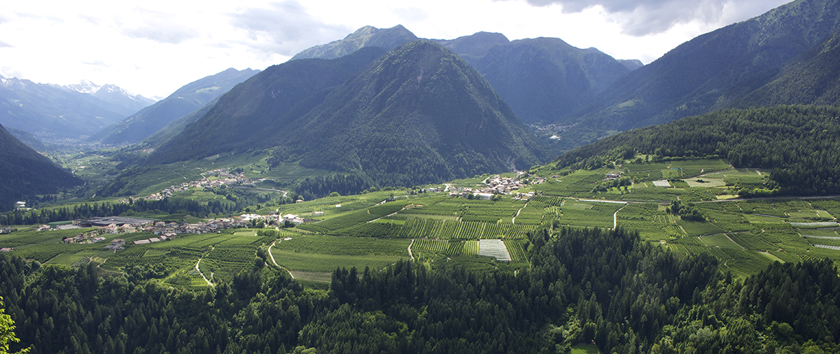 Rankipino | La pista ciclo-pedonale della Val di Non che collega il Passo Palade alla Val di Sole.