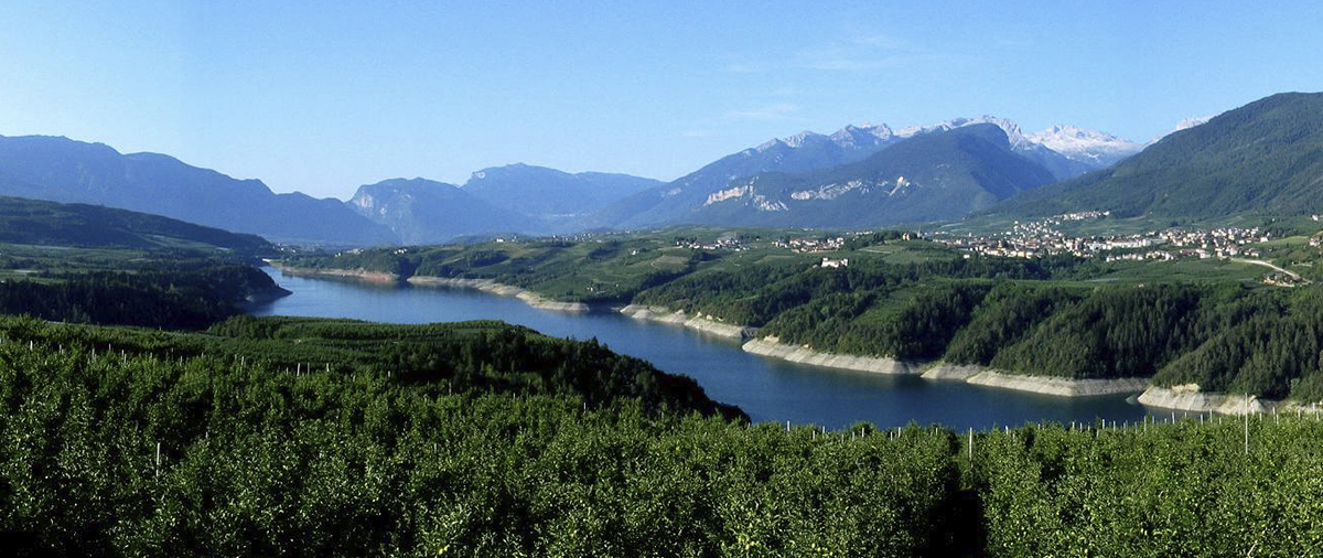 Rankipino | La pista ciclo-pedonale della Val di Non che collega il Passo Palade alla Val di Sole.